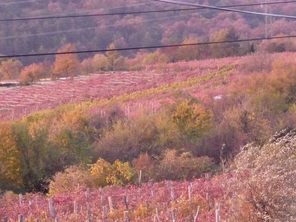 Rozina Vacation House Pliskovica Dış mekan fotoğraf