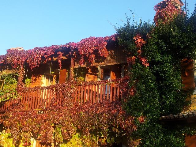 Rozina Vacation House Pliskovica Dış mekan fotoğraf